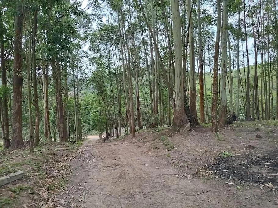 Pousada Recanto Dos Passaros Imarui 0*,  Brasil