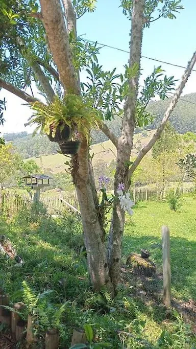 Pousada Recanto Dos Passaros Imarui
