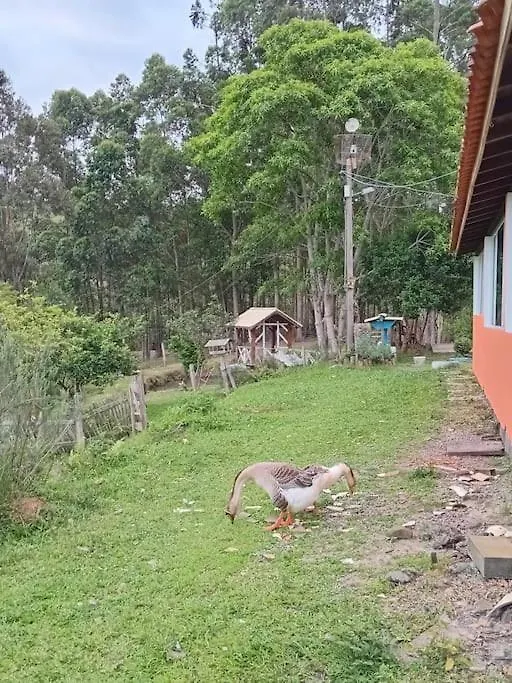 Pousada Recanto Dos Passaros Imarui 0*,  Brasil